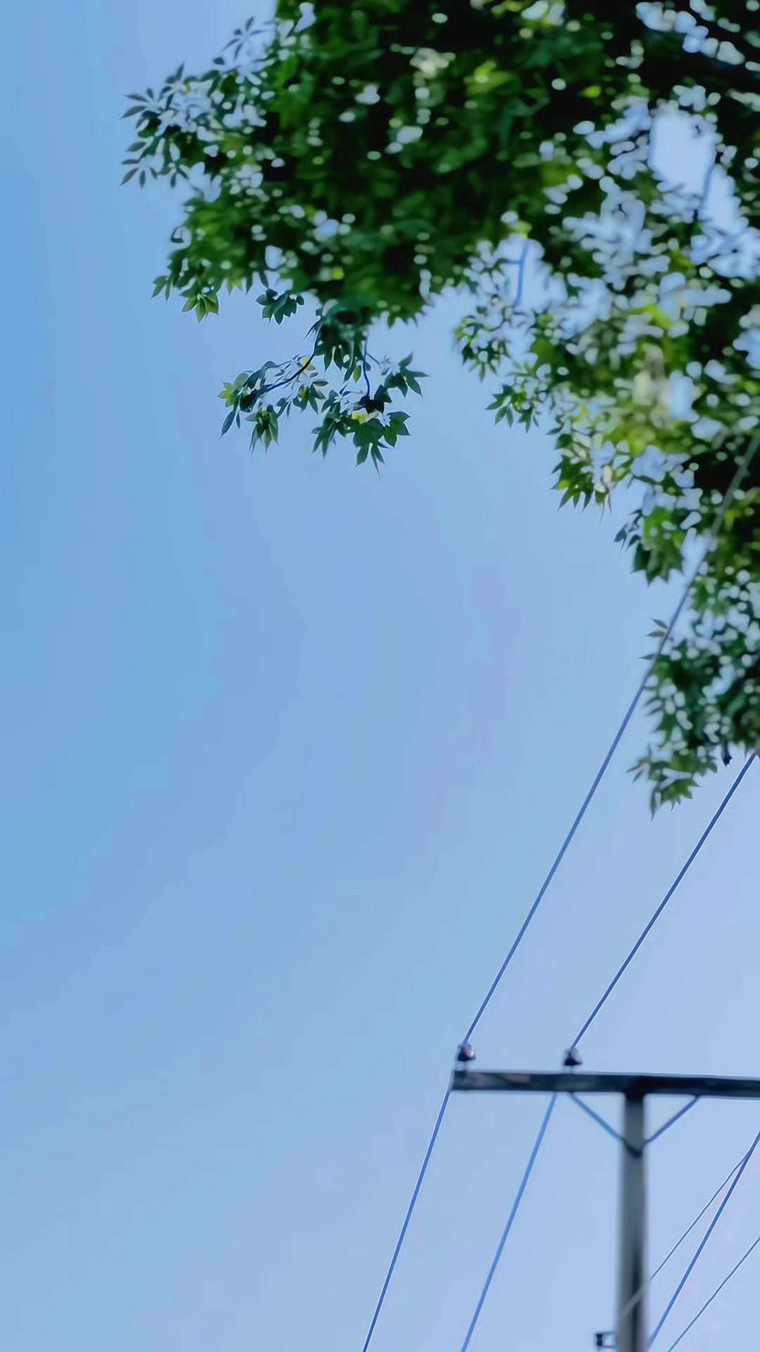 @آفریدی 🦅