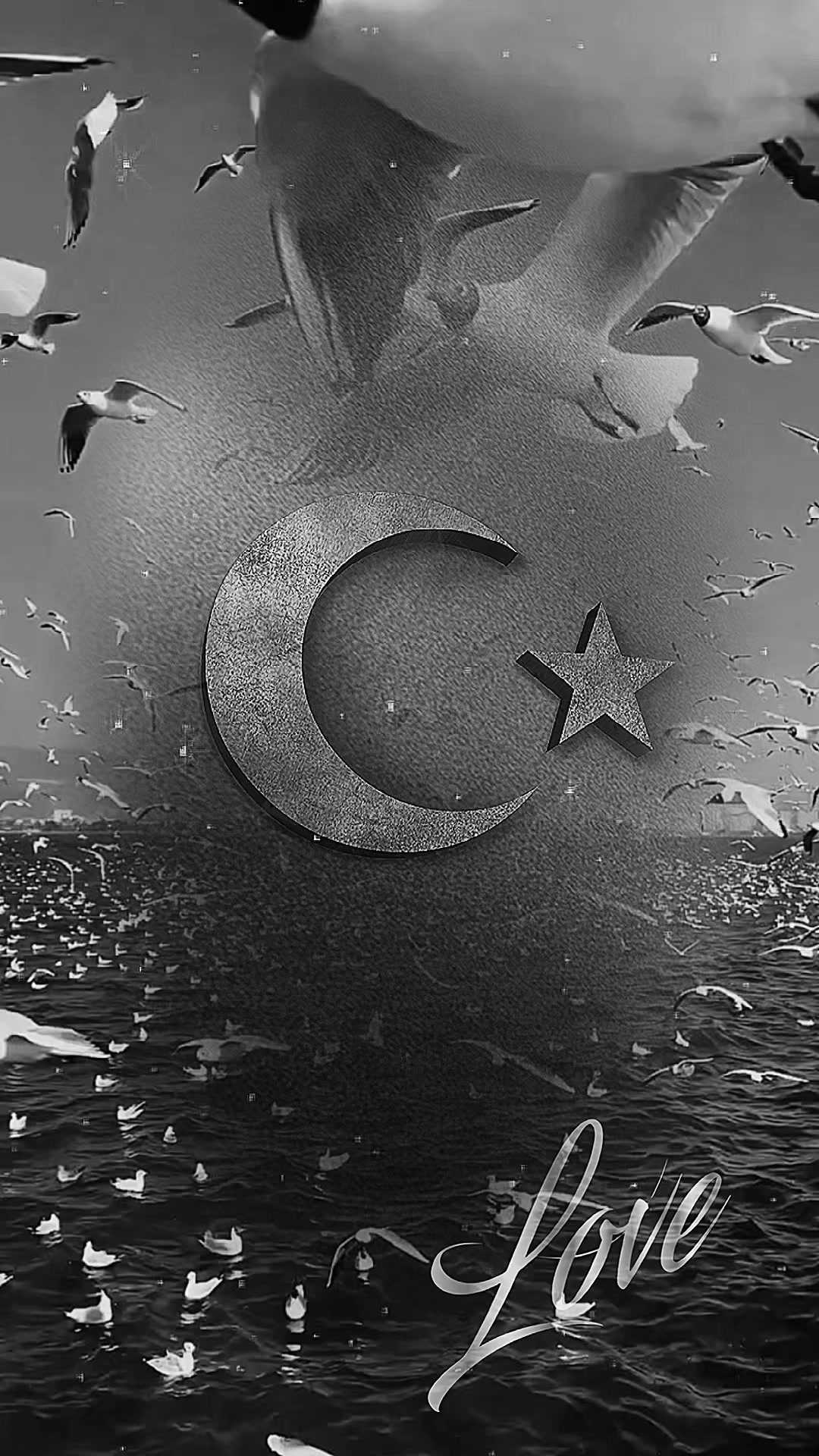 @ismailsahinoglu