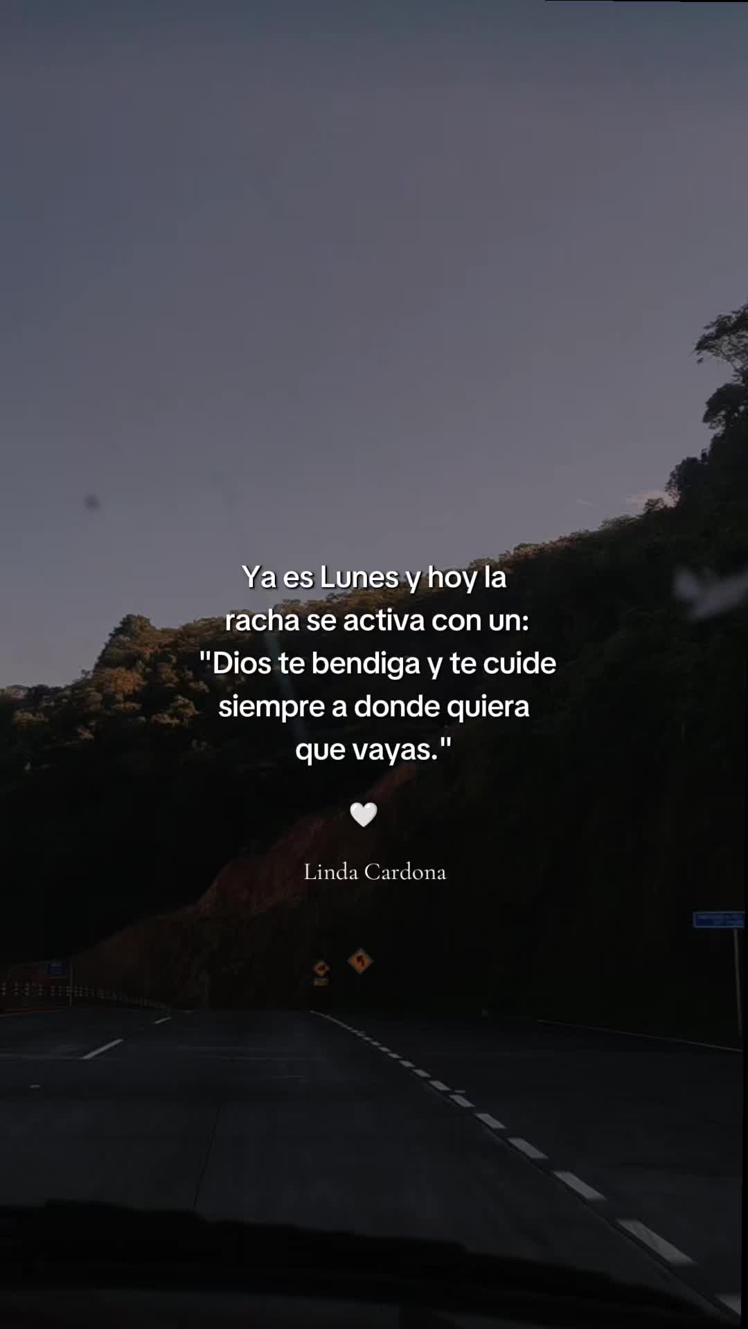 @Linda Cardona 🪼🪐