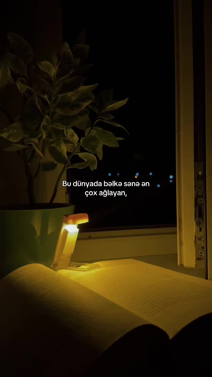 @ziyaaladdin