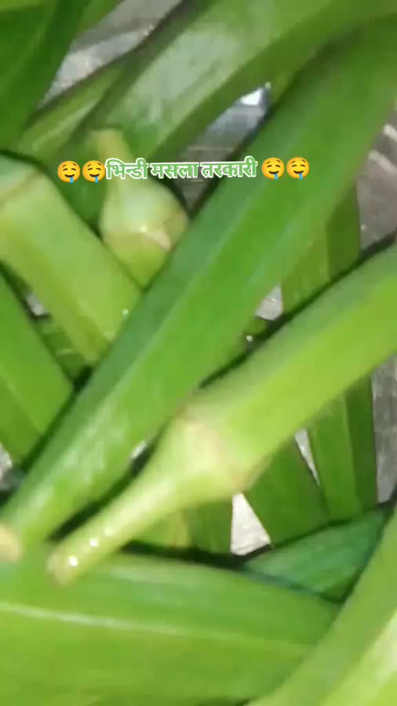 @thakursadhana000