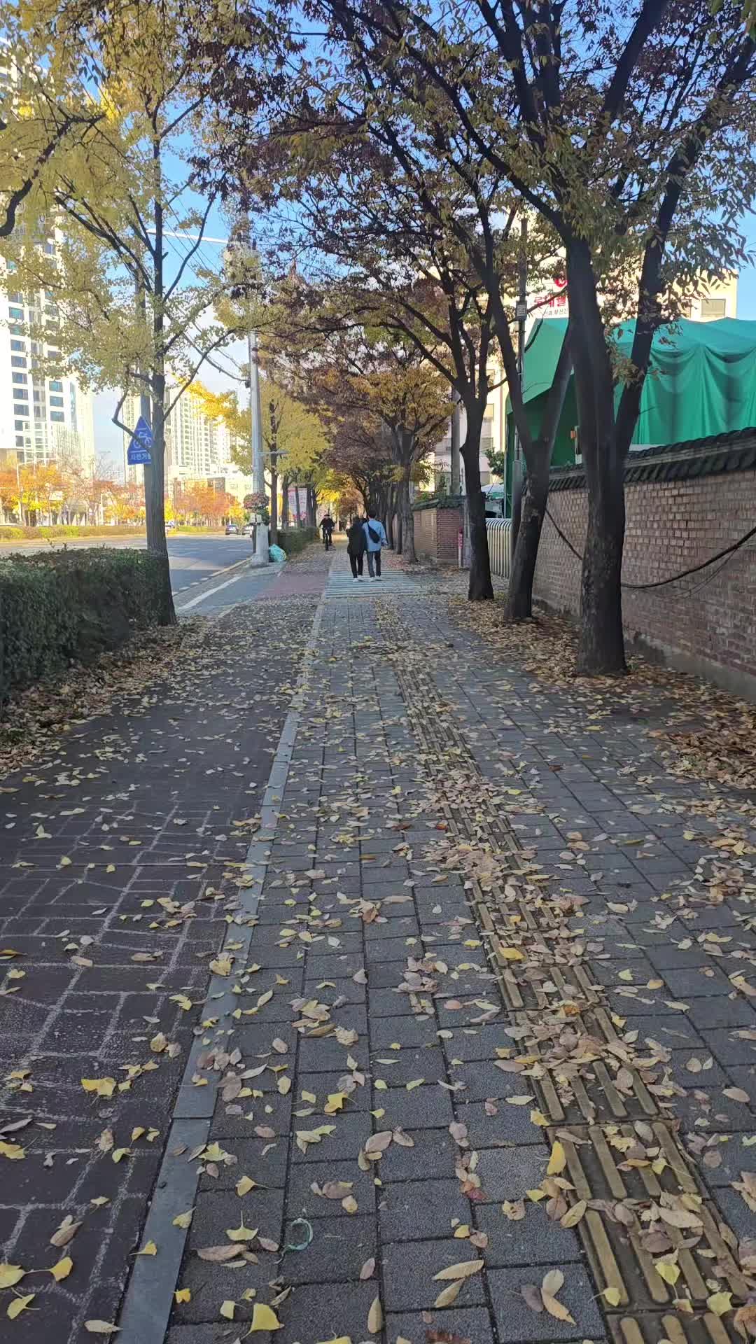 @훨훨~~^@^