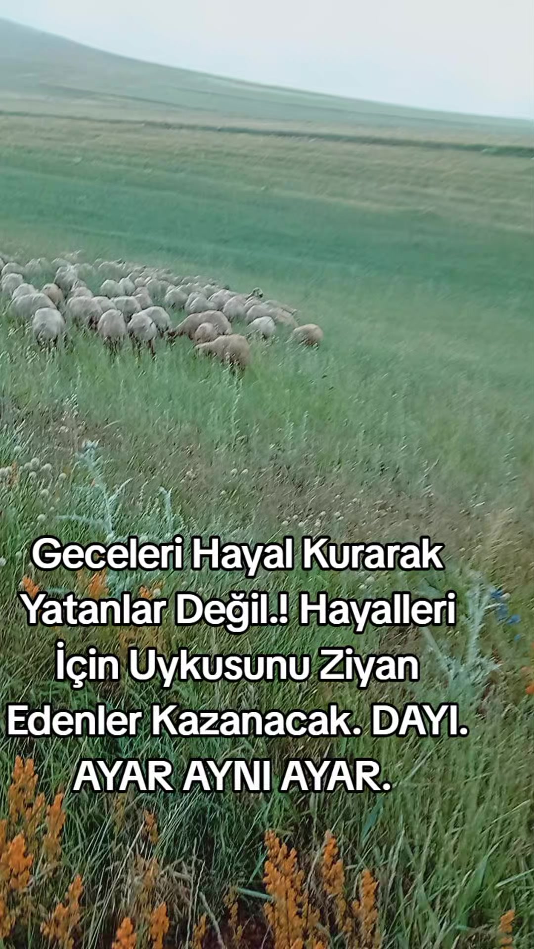 @HAYAL KEŞ