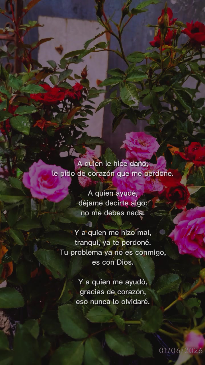 @Judith luna