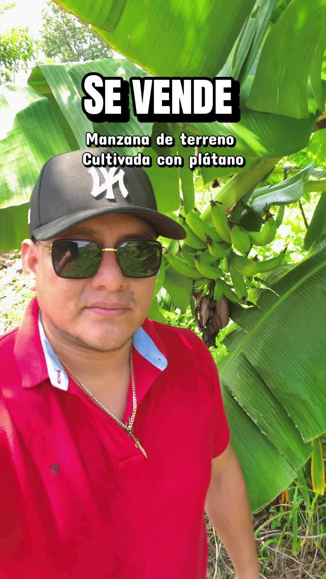 @Marco Ortiz🧸