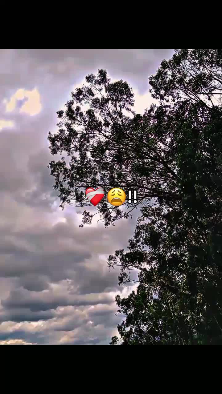 @"𝕽𝖔𝖒𝖆 📿🤴🏻☘️
