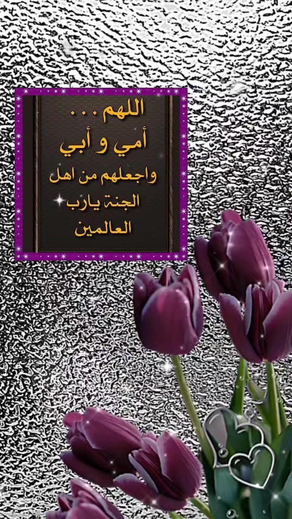 @محمد المعمري