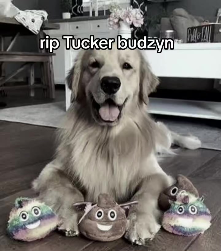@Monsternoan