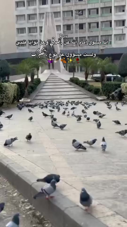 @﮼ميرا -ᗰIᖇᗩ 🎀🪐🩷
