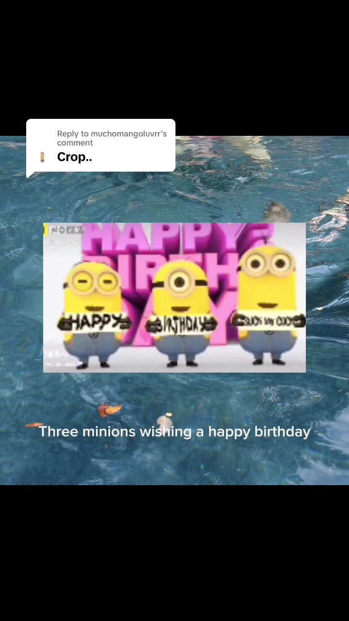 @jenny⊹