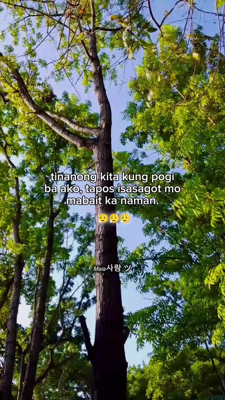 @𝘔𝘢𝘪𝘢사랑 ツ