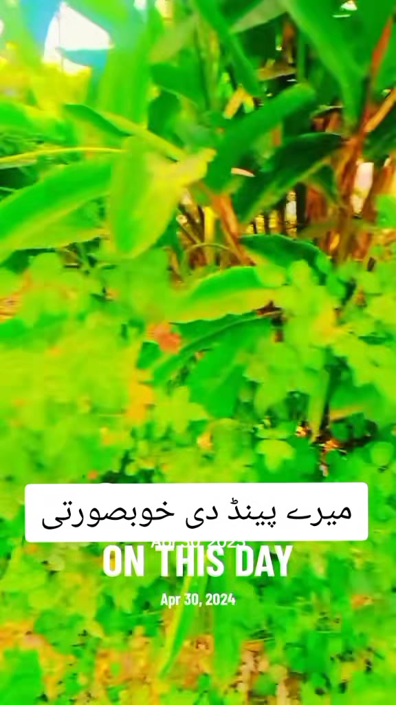 @moazam ali 4691