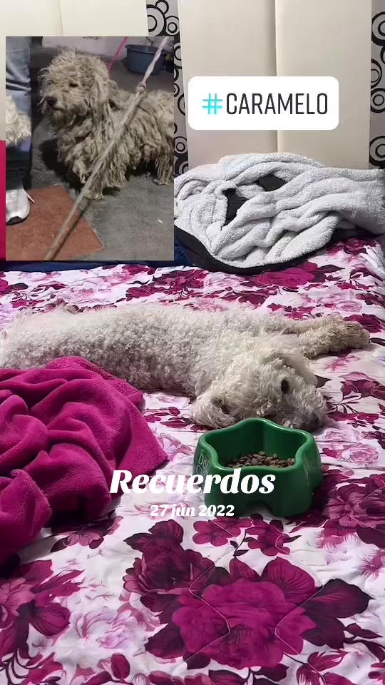 @MaricelaAvalosTovar