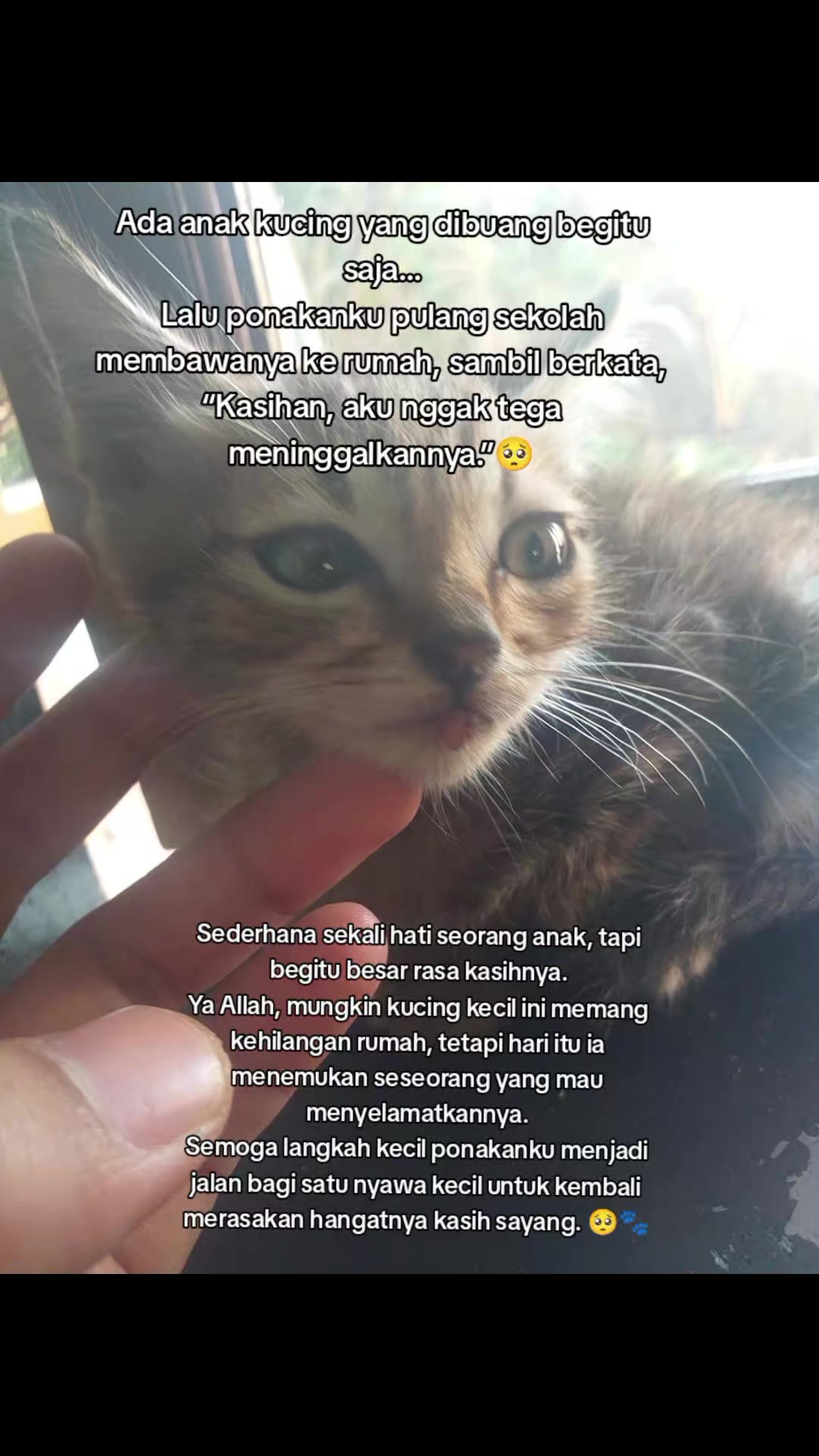 @Lina herlina