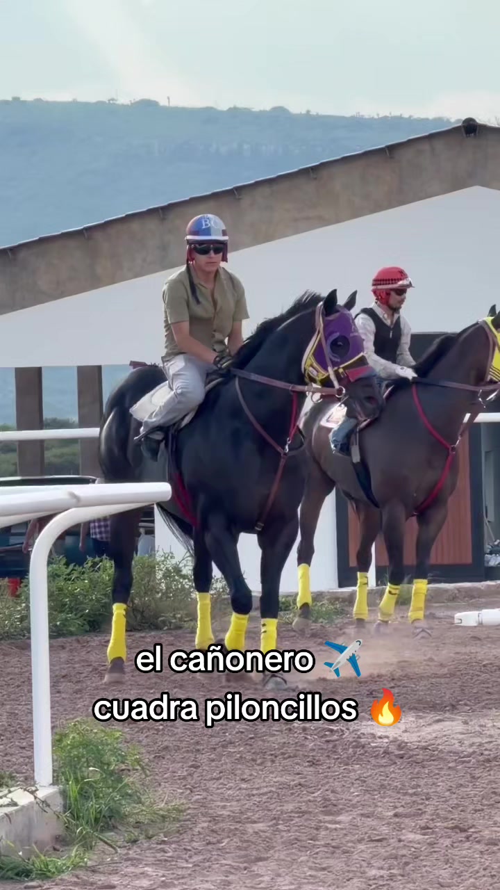 @carriles altos de jalisco🐎