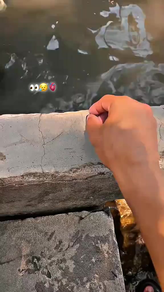 @yousufزئی🎖
