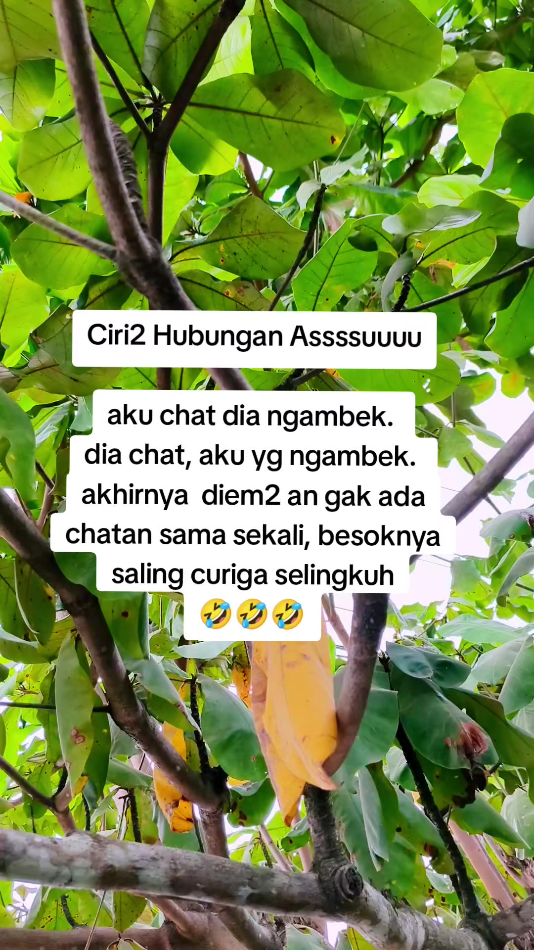 @Tanjungselor_vibes