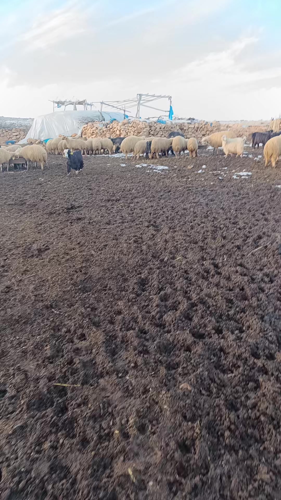 @Abdurrahim gül