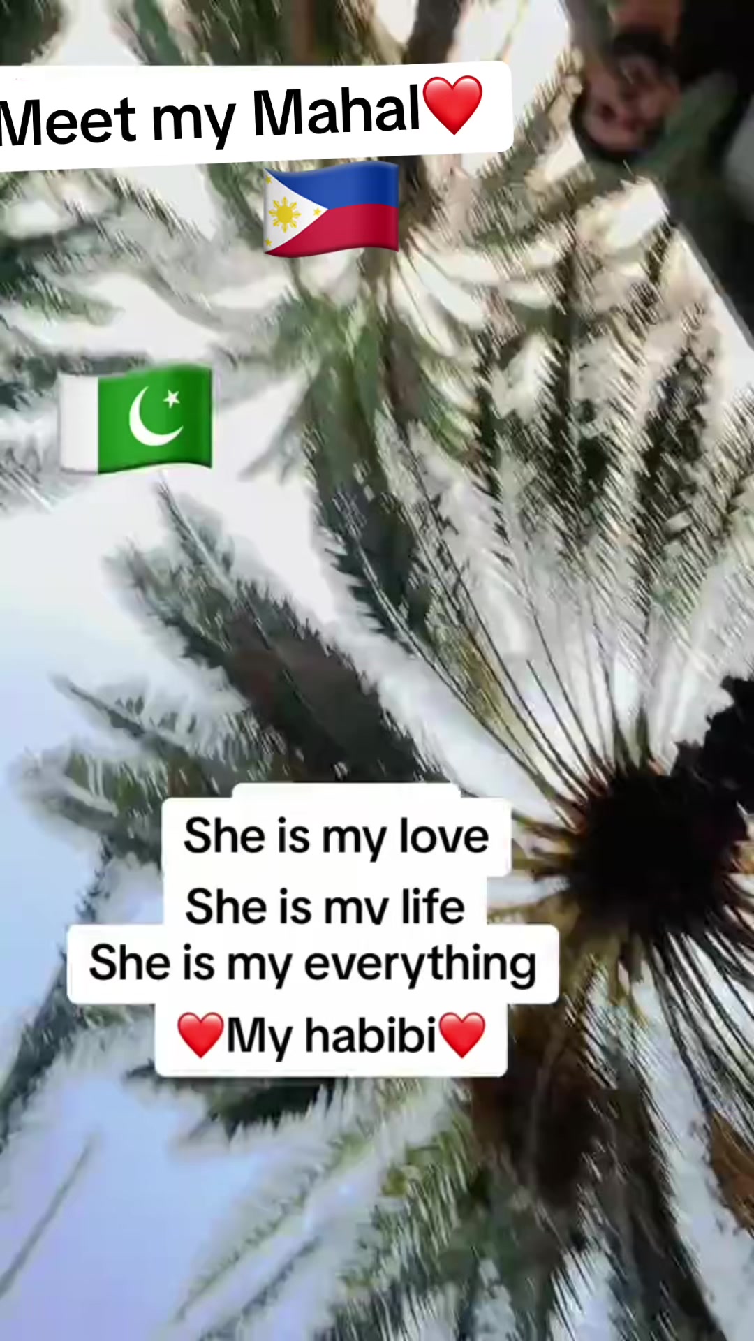 @Ayyan Khan