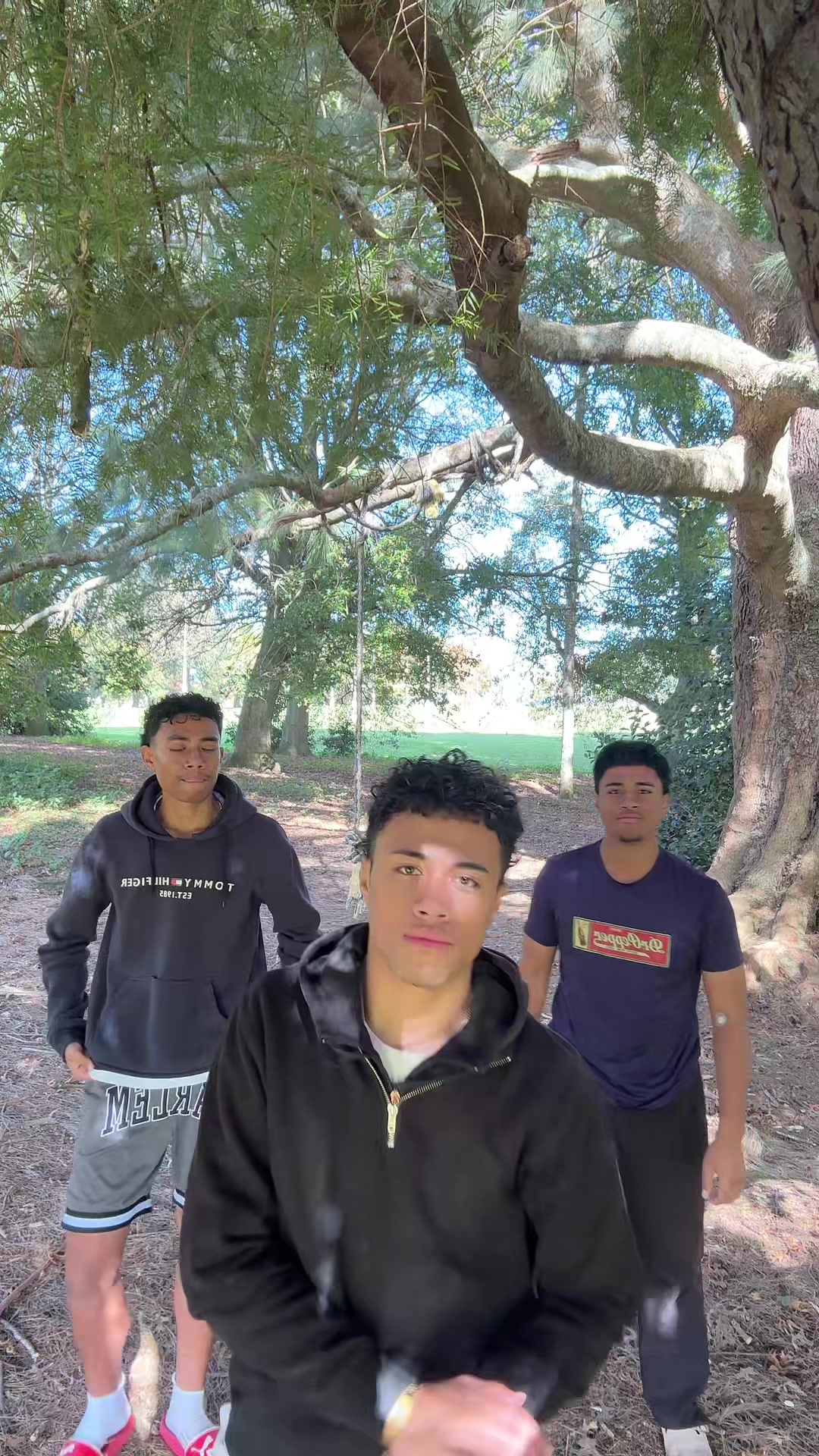@️Vili