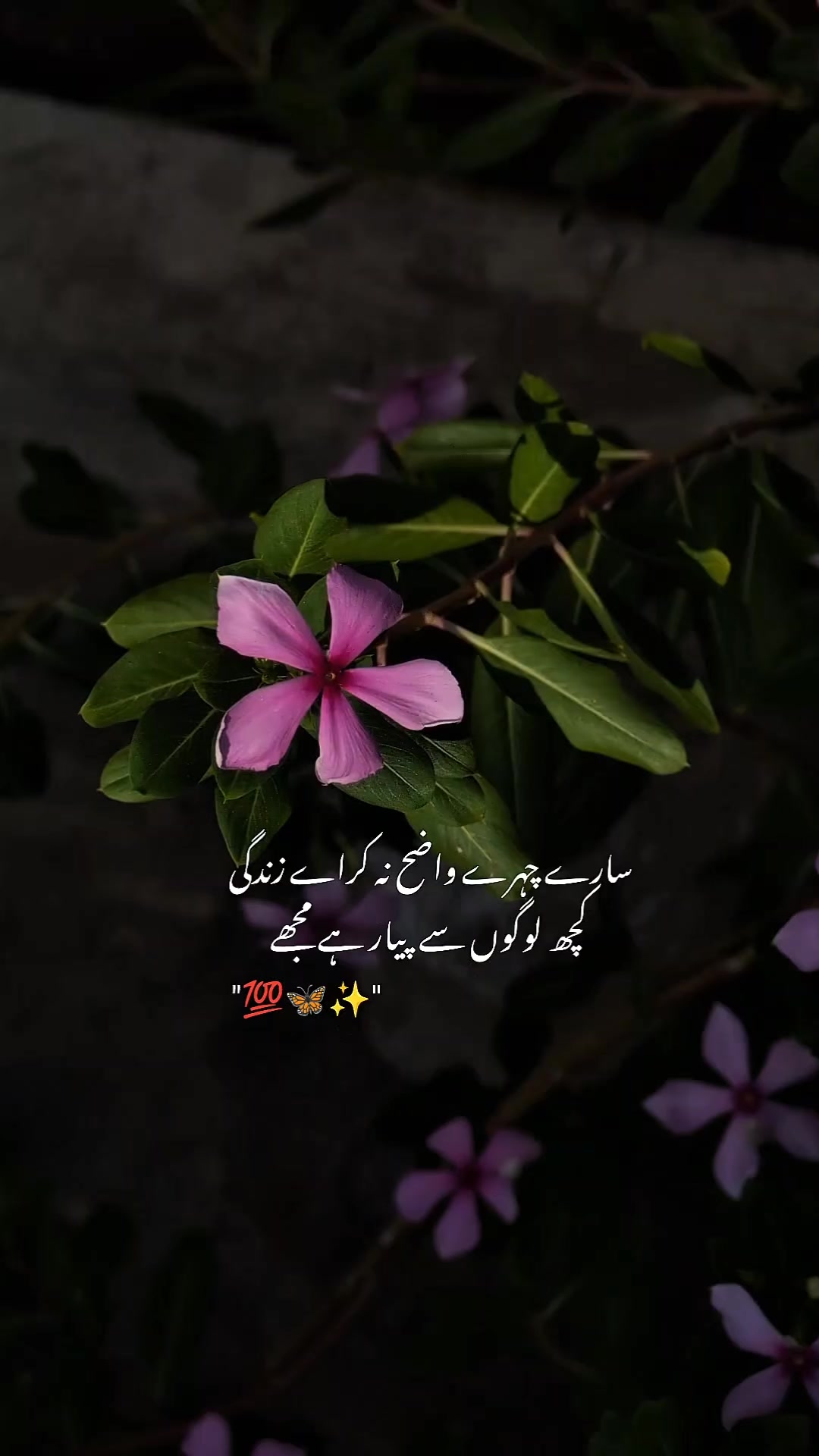 @ــــہہـ٨ــ&hearts;️ـــہہـ٨ـ