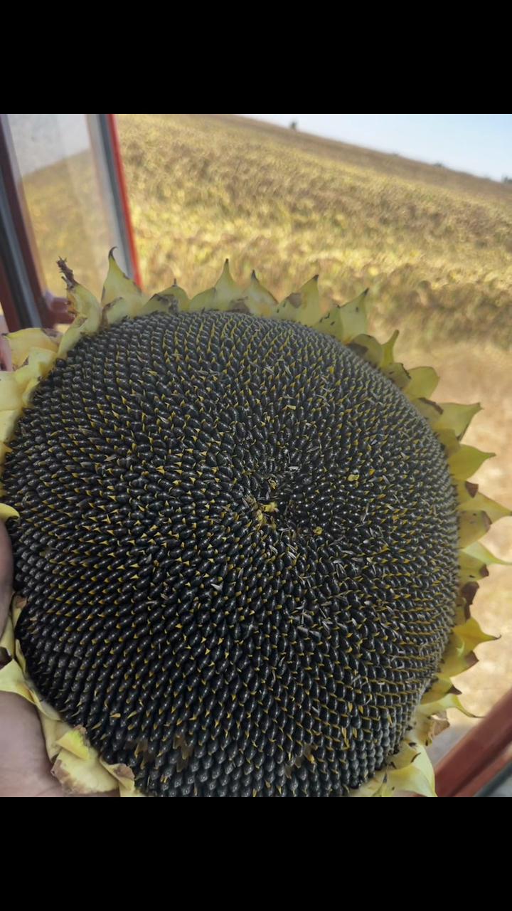 @ ÖMER KOCATAŞ 