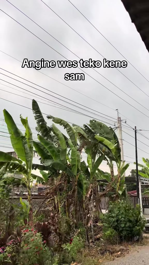 @Taufiqan