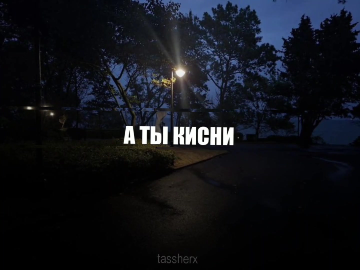 @Tasher