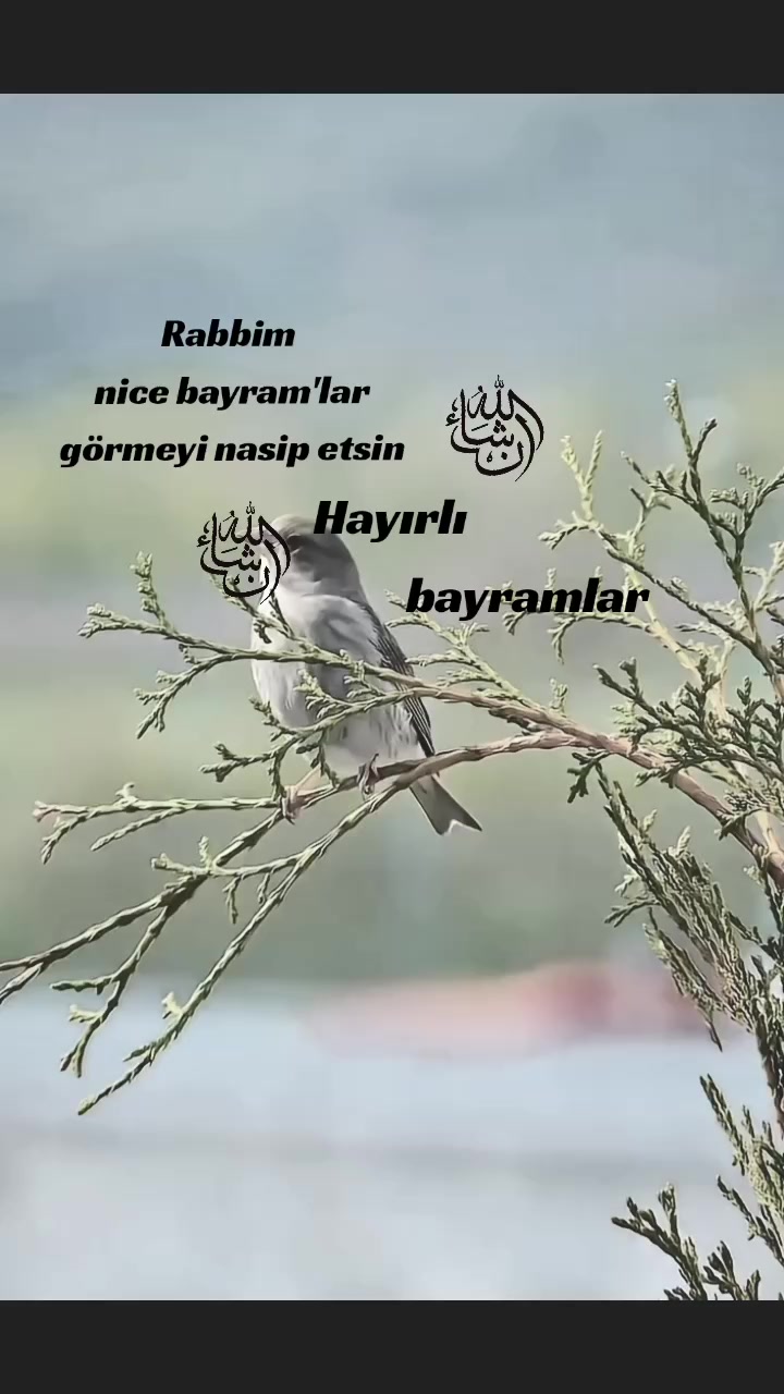 @tekbirr_Allah