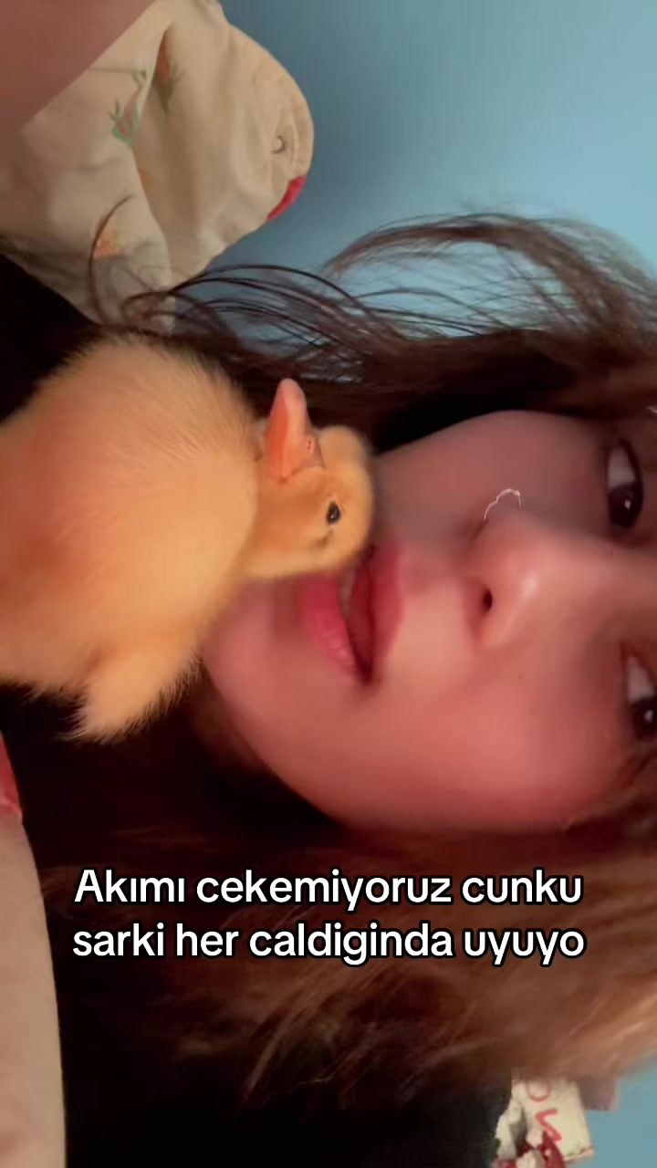 @Reyna