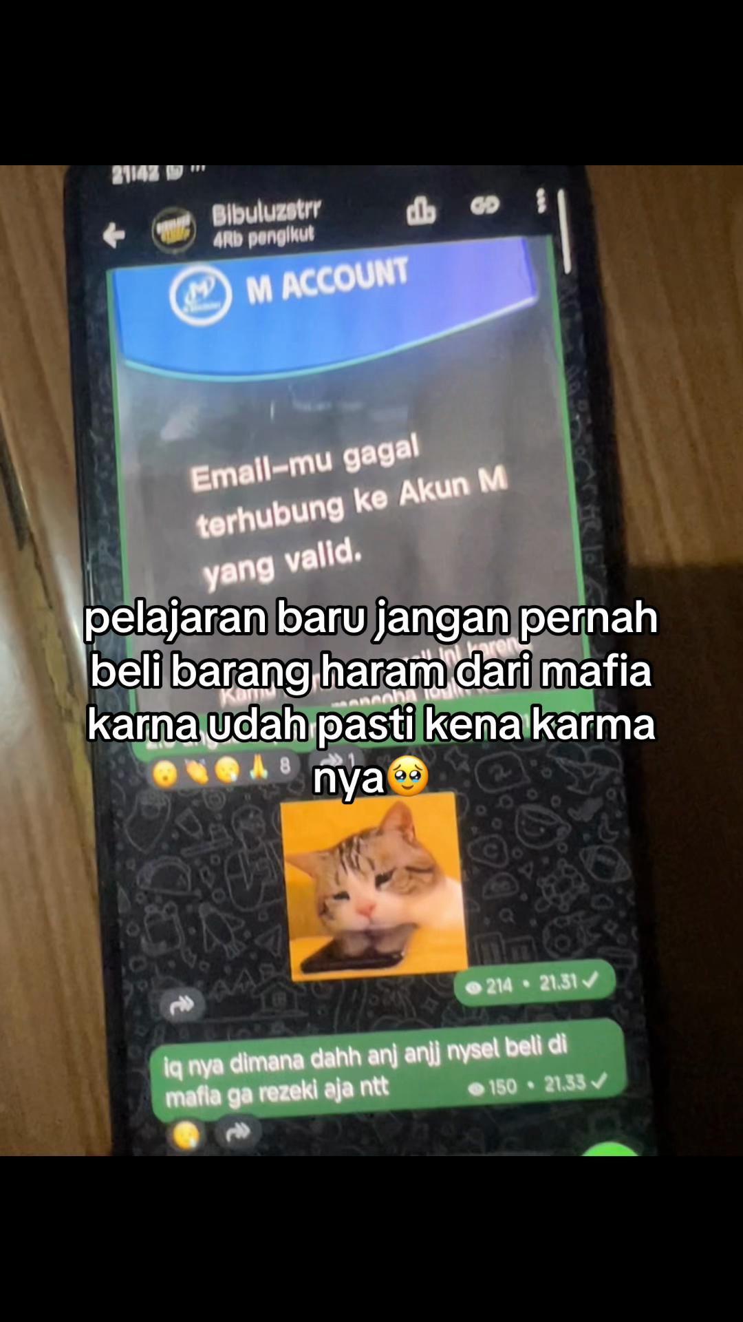 @Bibuluzz