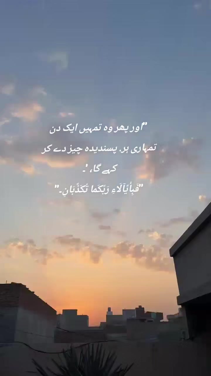 @softvibes🌸💫