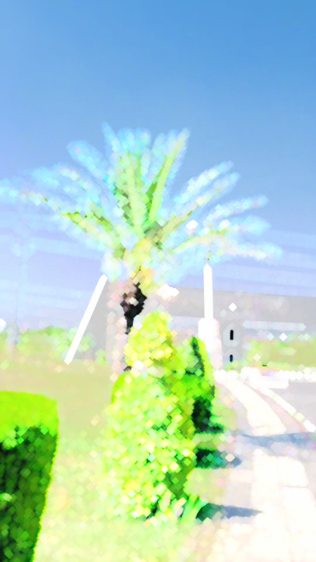 @Aazaz_Shah_offical_1081