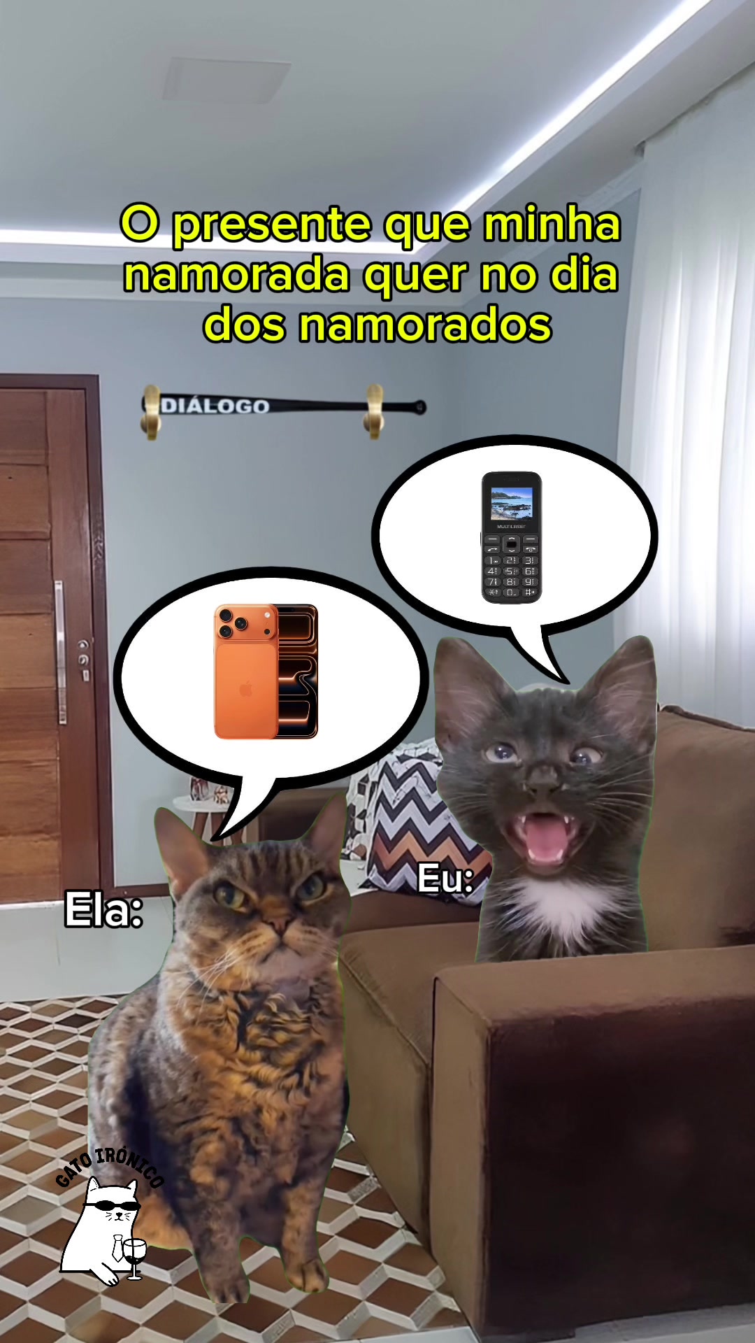 @gato ironico