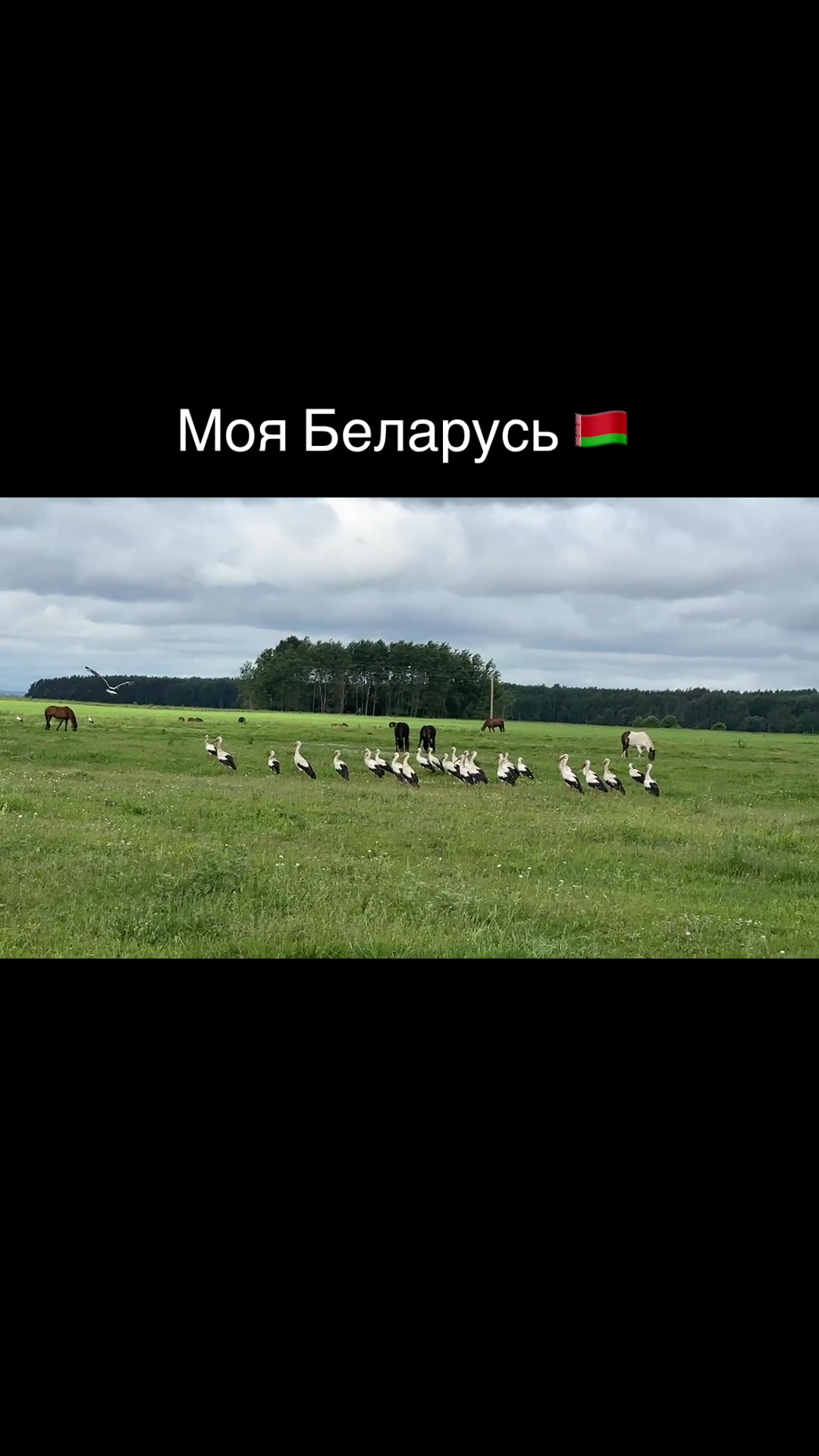 @Анастасия Чернявская.