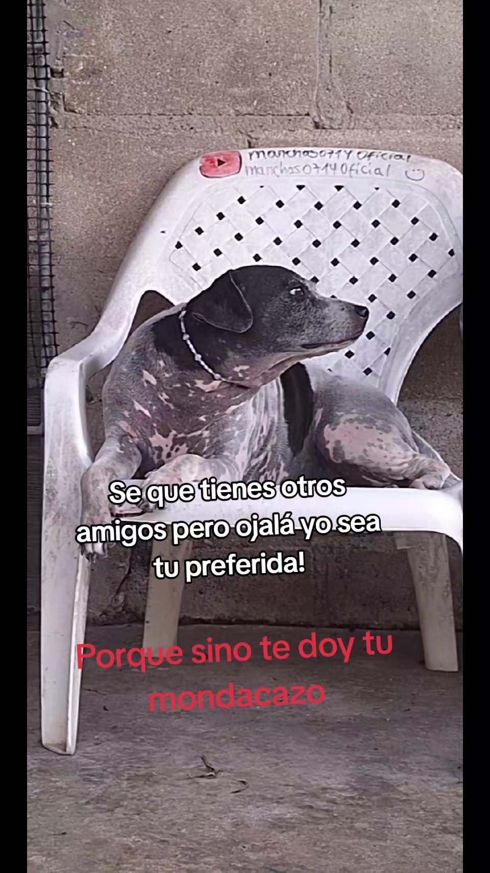 @MANCHAS 0714 OFICIAL
