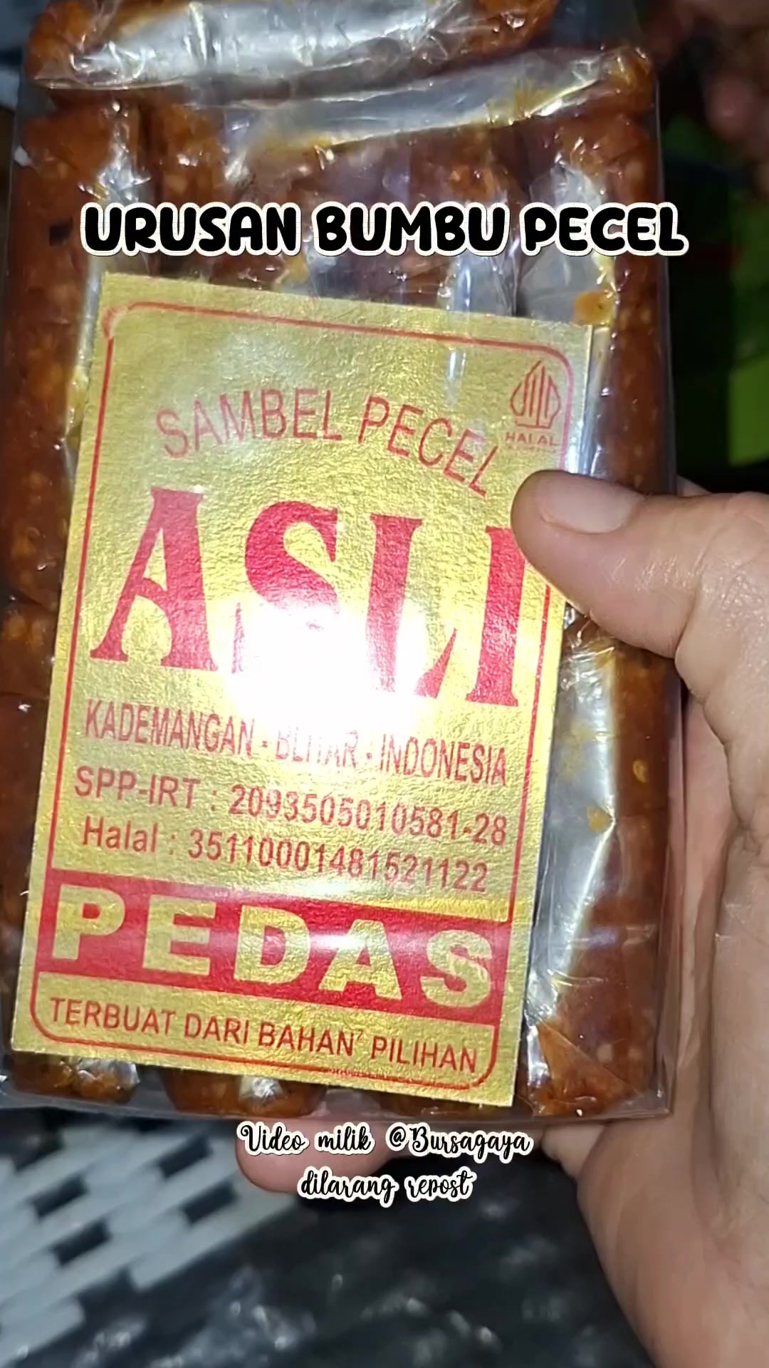 @bursagaya