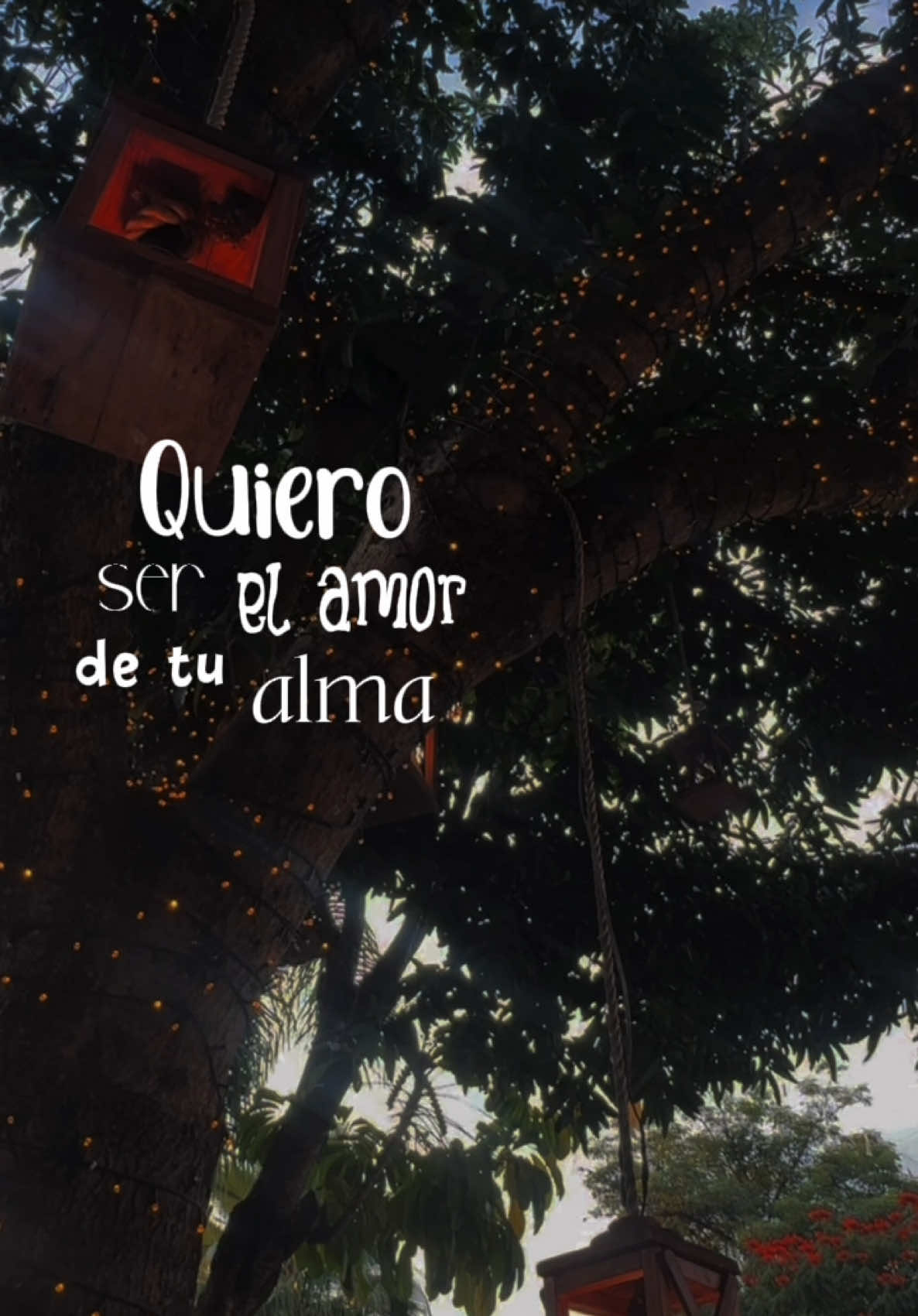 @Celeste RSH