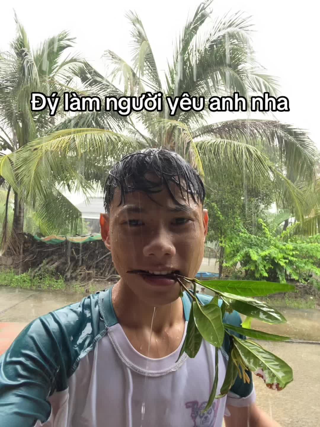 @banddz7
