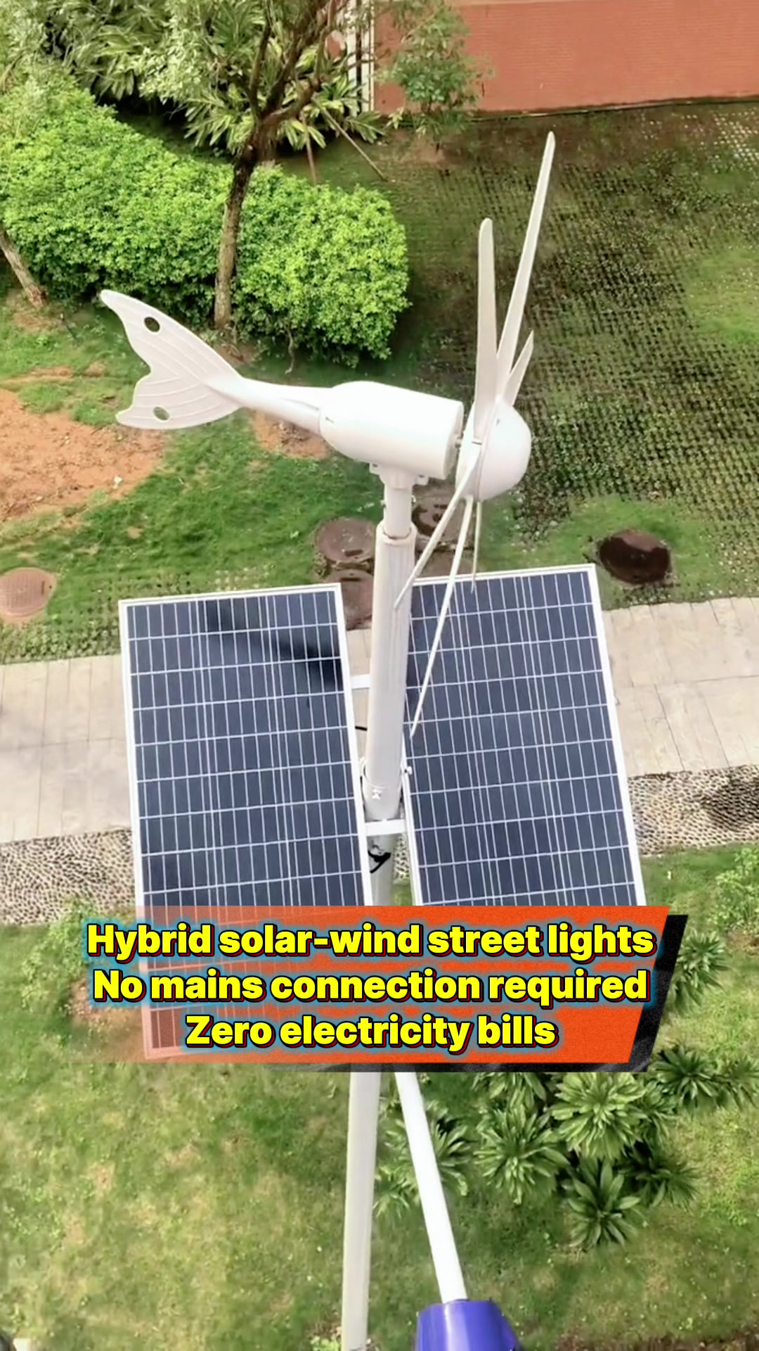 @Jijian New Energy