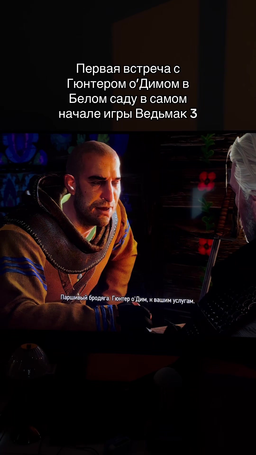 @тгк: Анна Нуар🖤