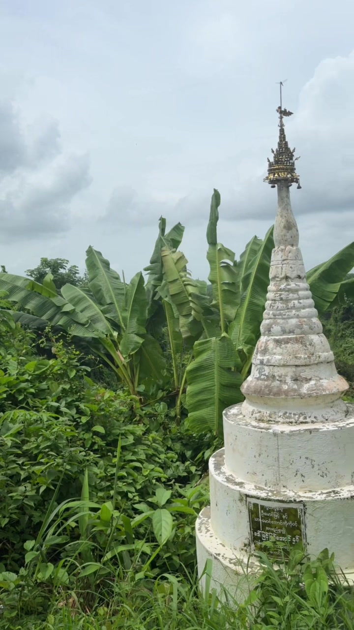 @ဝိုင်းခြုံမအကြော်ဆိုင်