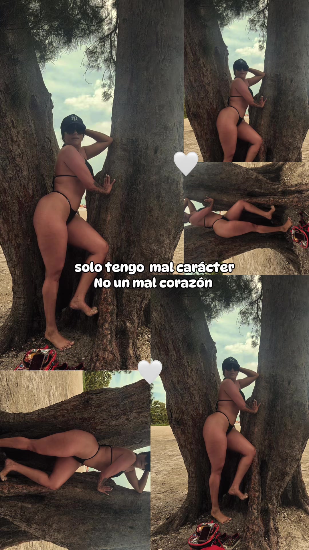 @teffy🇺🇲🌻🦋
