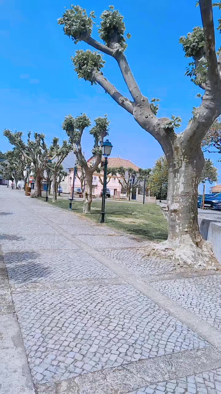 @Dany em Portugal 🇵🇹