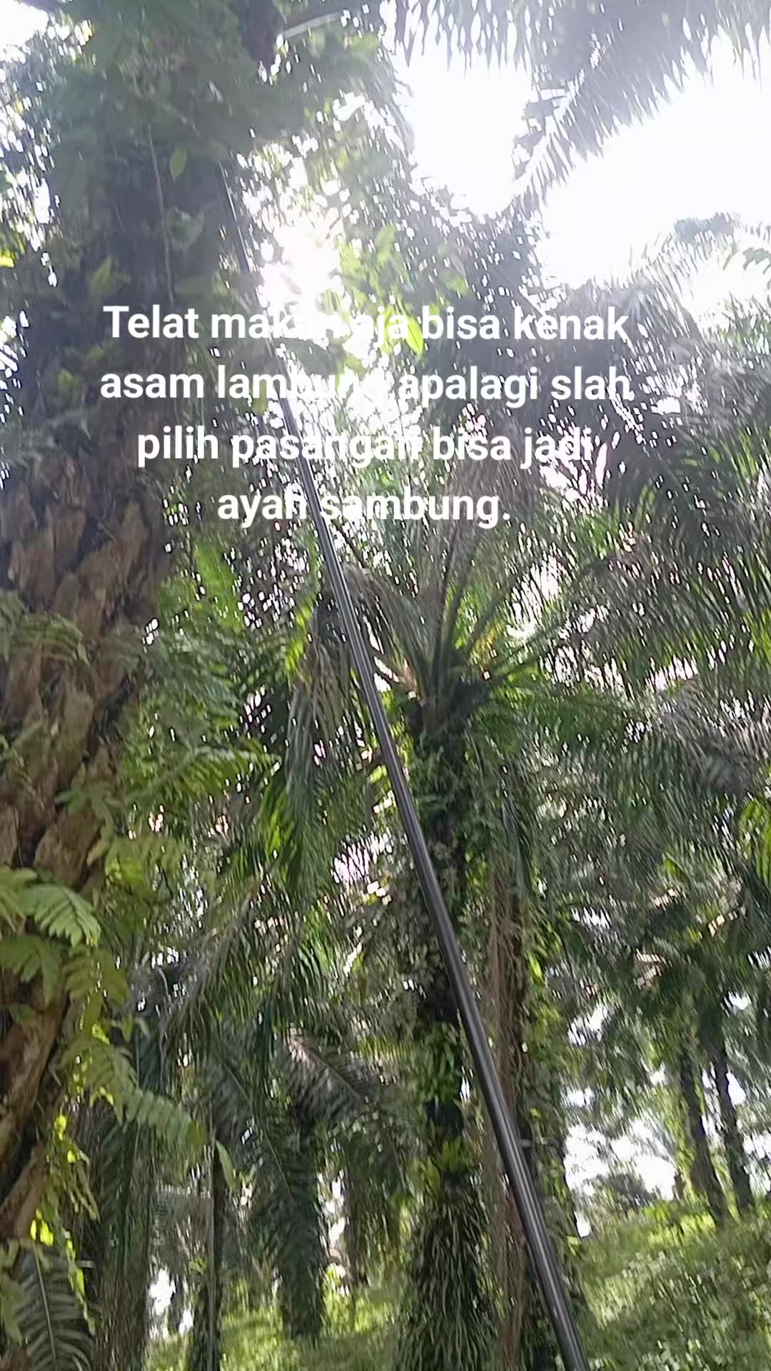 @(TARIADI@17.