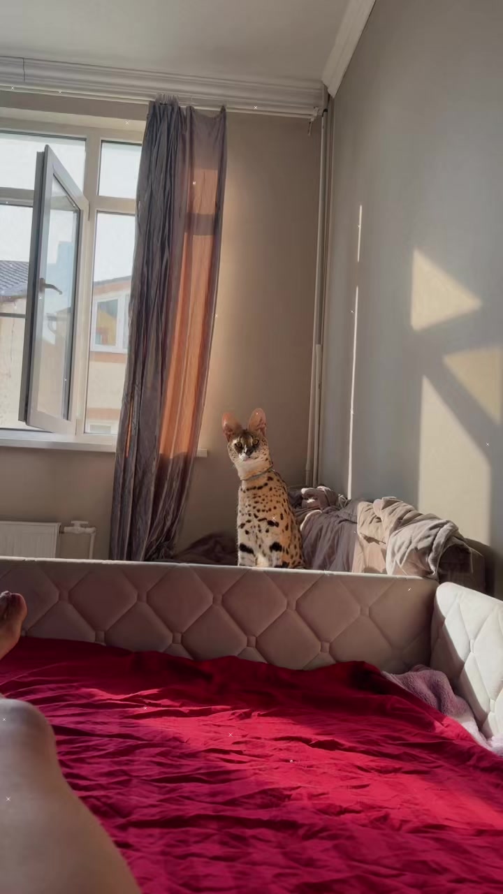 @Иса