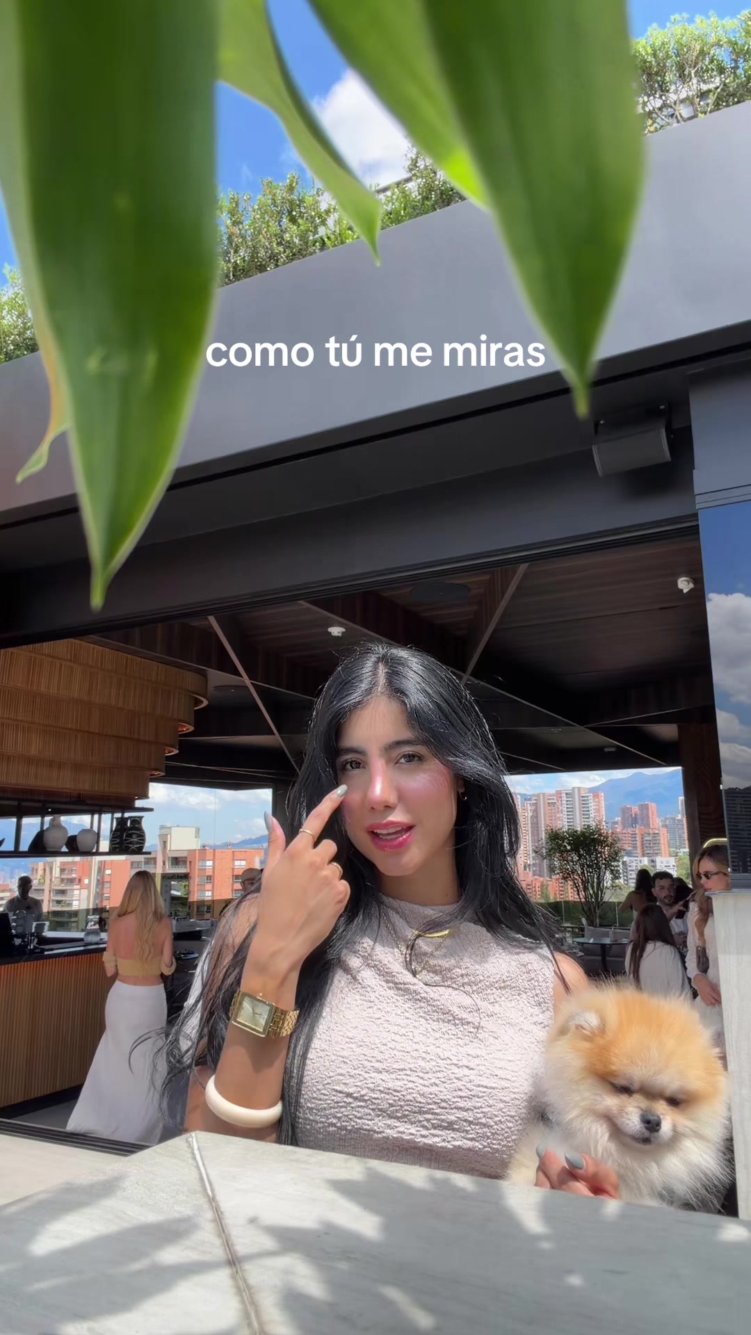 @Carolina Picorios🩶