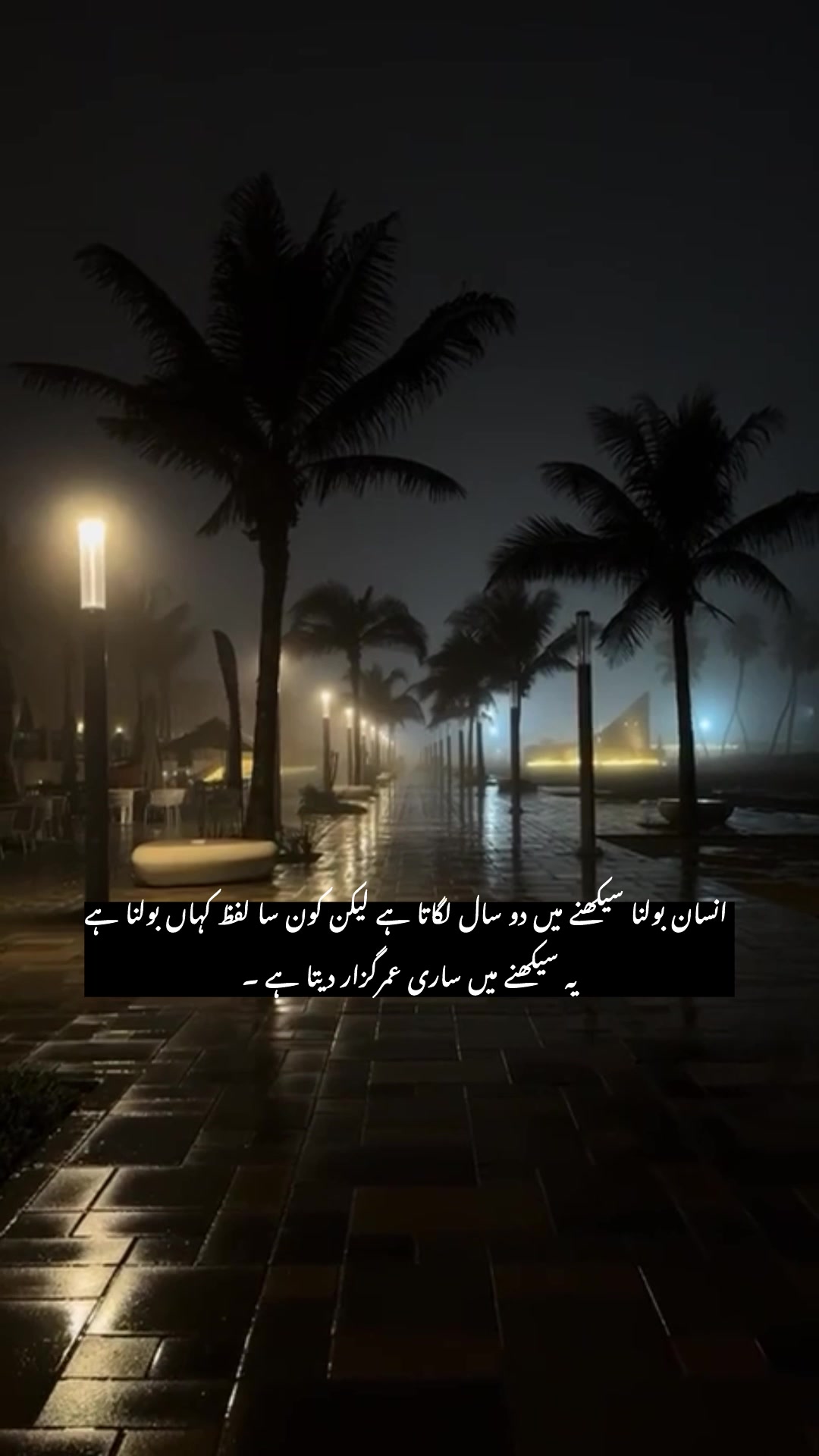 @ZH🎀🖇️