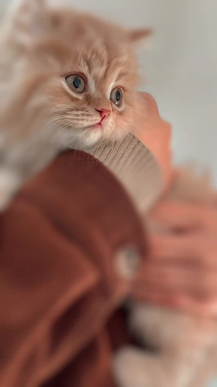 @مـمـيزةـة،🧸🪐🍂!َ''