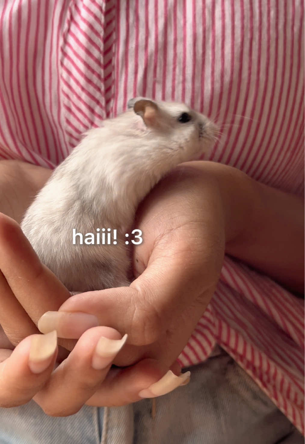 @Daara_🐼🖤